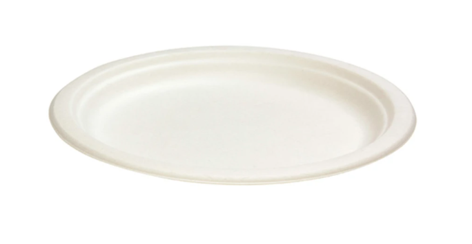Sugar Cane Dinner Plate 260mm (10
