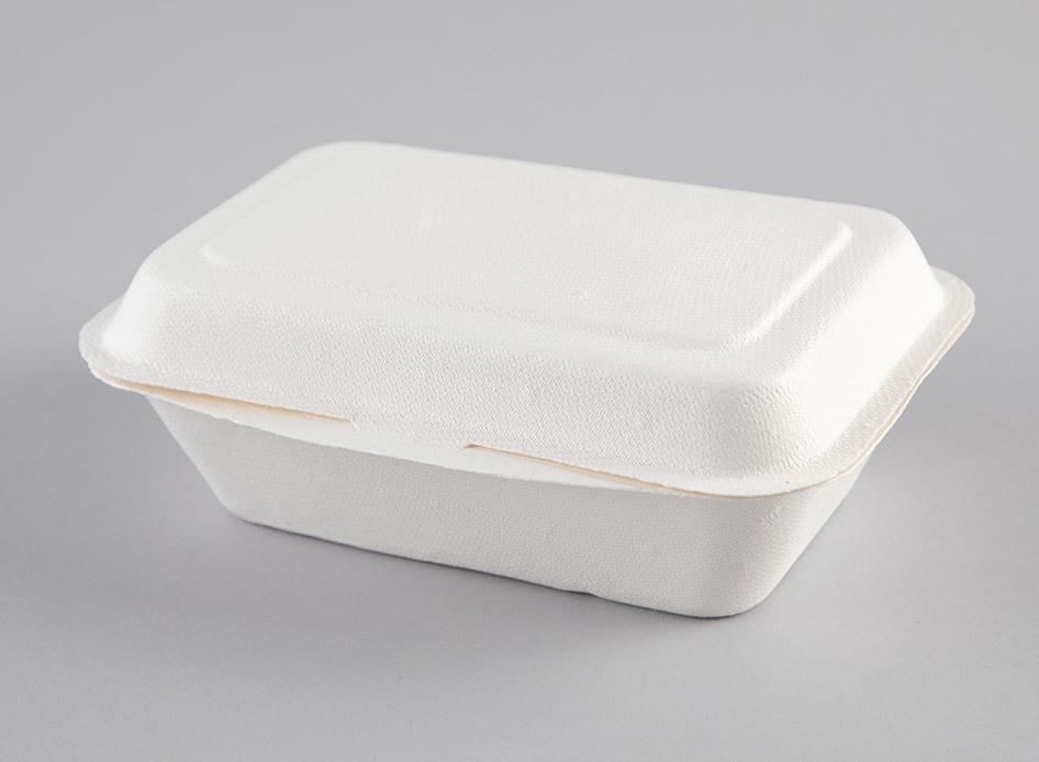 Enviroware 500ml Hinged Container - Coastal